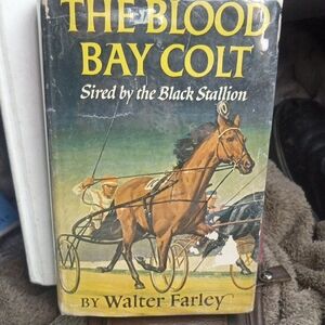 The Blood Bay Colt